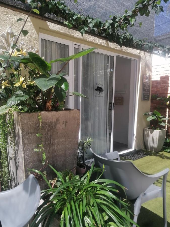 The Oak Treehouse Bnb Queenstown Ngoại thất bức ảnh